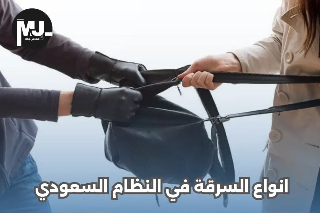 انواع السرقة في النظام السعودي